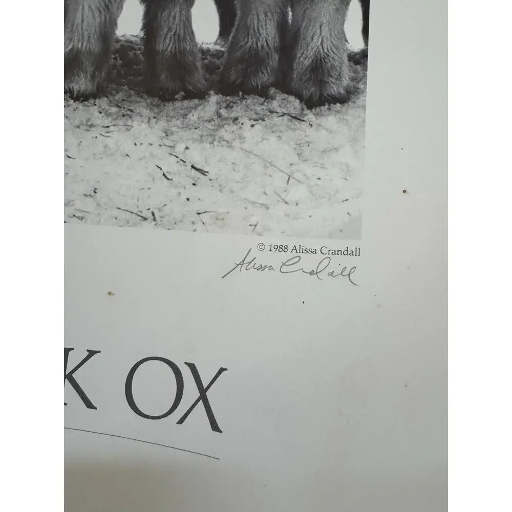 VTG Friends of the‎ Musk Ox Alissa Crandall Poster Artist Signed 1988 Mekoryuk